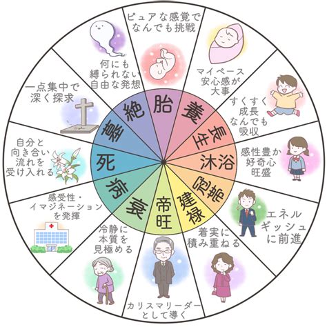 十二運星|四柱推命の【十二運星】とは？意味・調べ方・エネルギーを解説